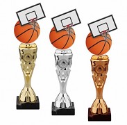 HLAC02M05 | Basketball 