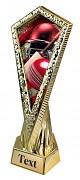 AY1M10 | Cricket 