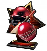 SAM01M10 | Cricket 
