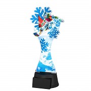 ACUTCM145 | Snowboard 