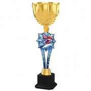 ACUPW2025M02 | Sjezdové lyžování 