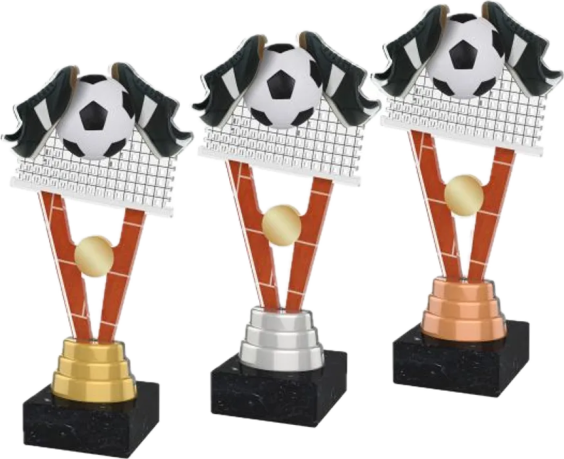 Akrylátová trofej ACUTM44 | Nohejbal